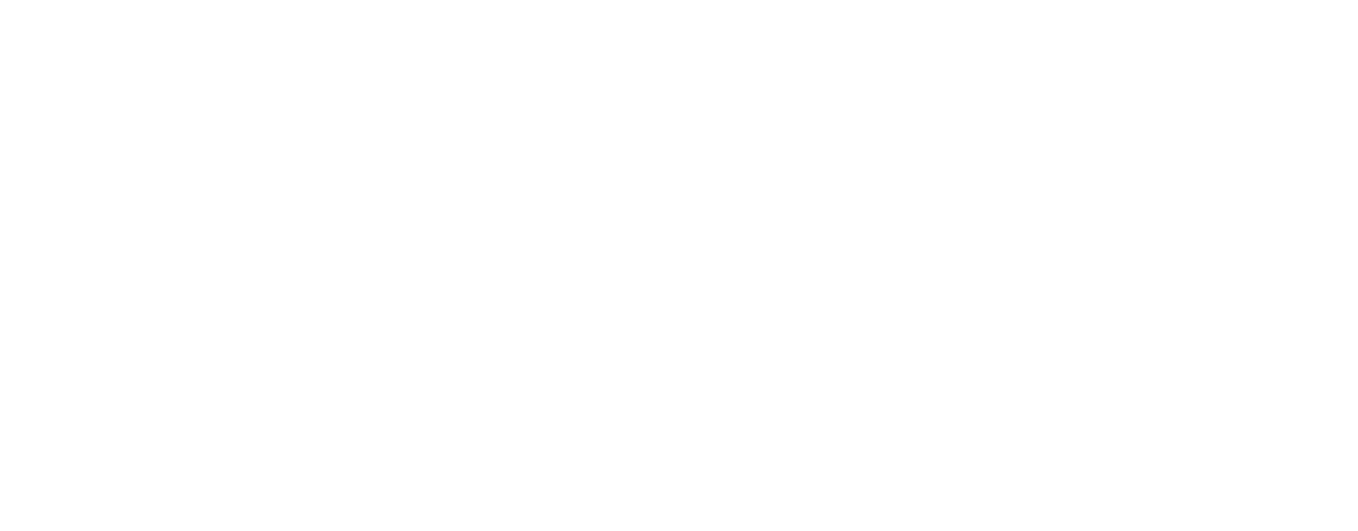 Guaranteed Irish logo